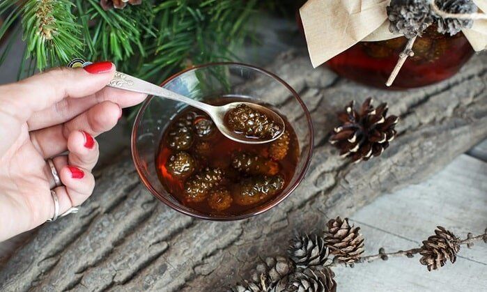 Tinktur auf Basis von Kiefernknospen zur häuslichen Behandlung von zervikaler Osteochondrose